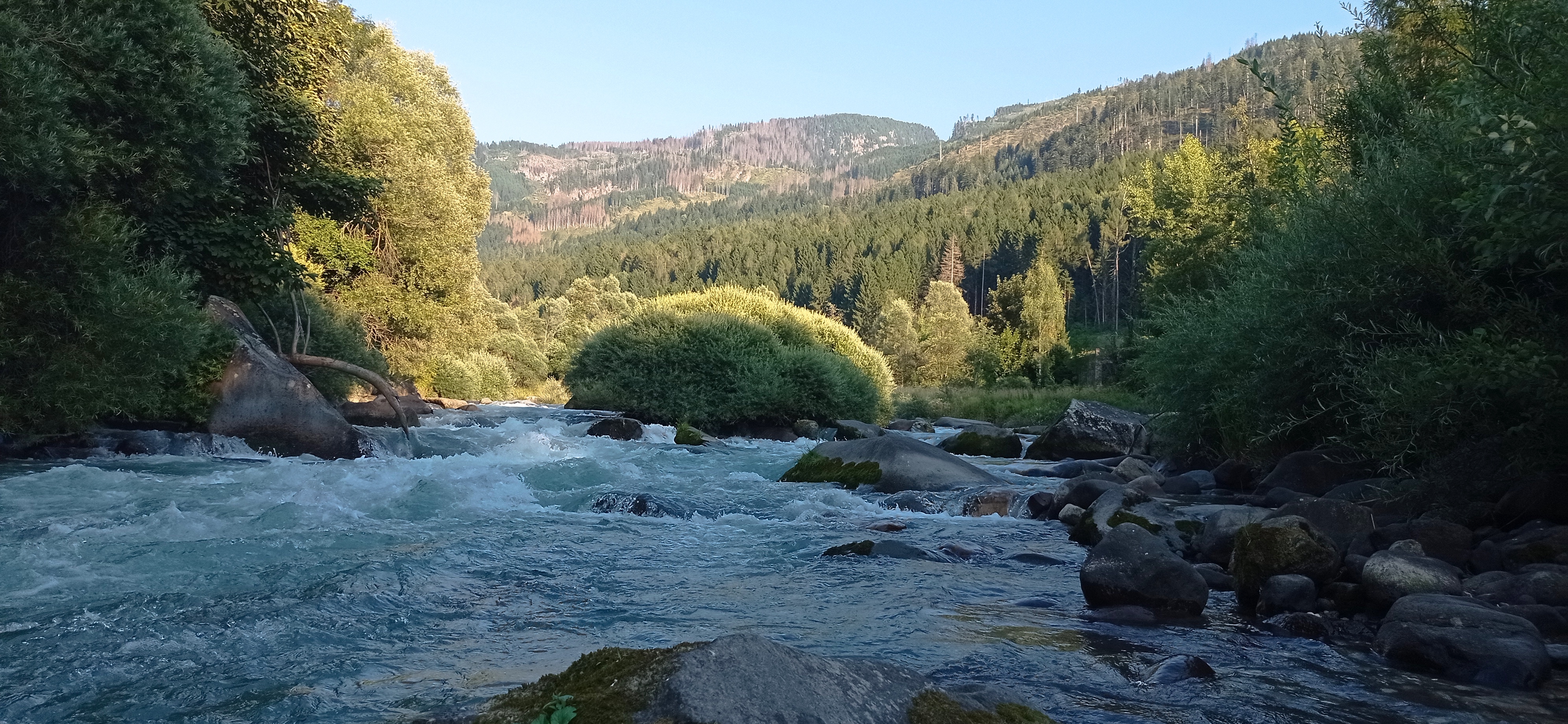 Fly fisherman on the Avisio River in Val di Fiemme