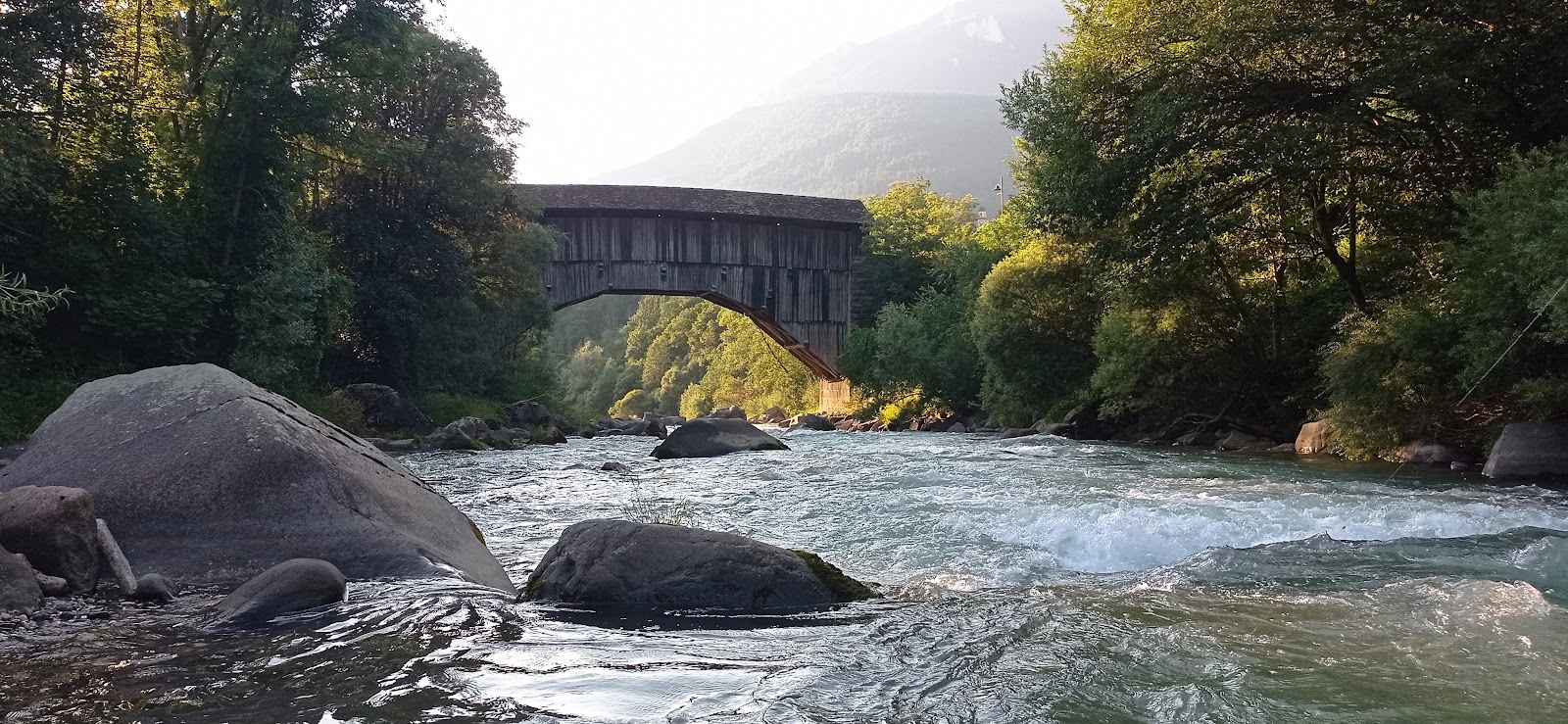 The Avisio River in Val di Fiemme surrounded by spruce forests